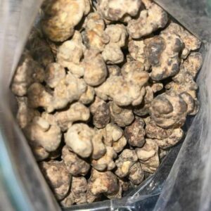 Buy Truffle Mushroom USA